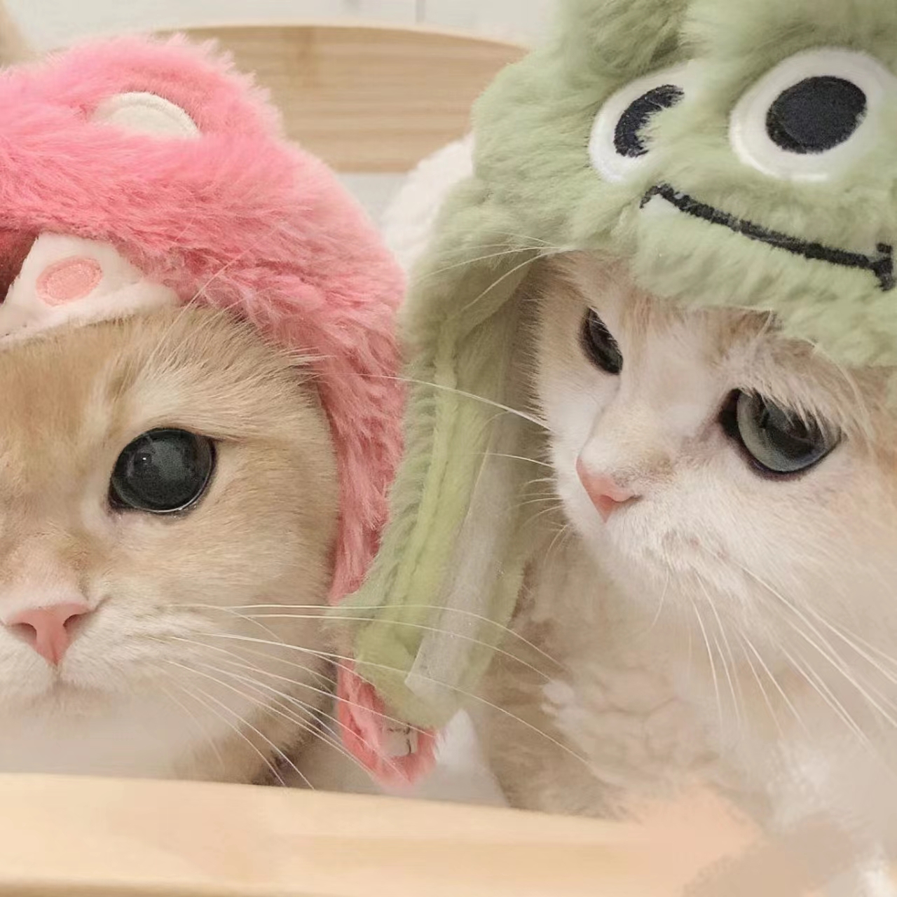 老司机“在线开车”网APP应用